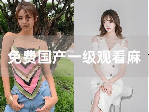 免费国产一级,免费观看的顶级视听盛宴